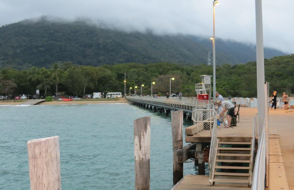 On Palm Cove Beachfront Apartments Eksteriør bilde